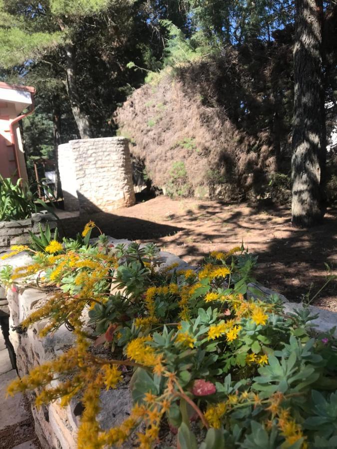 Nature, Memories And Garden Shower At Casa Del Castello 카스텔델몬테 외부 사진