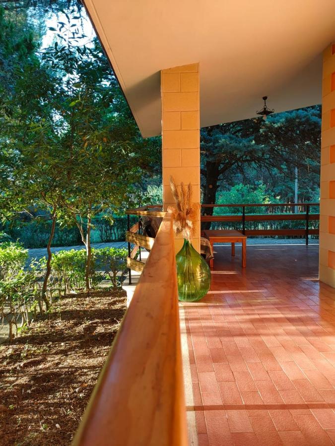 Nature, Memories And Garden Shower At Casa Del Castello 카스텔델몬테 외부 사진